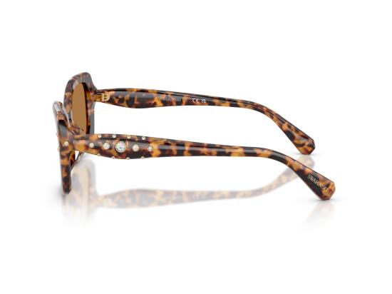 26FW 스와로브스키 선글라스 0SK6058U BROWN - SWAROVSKI