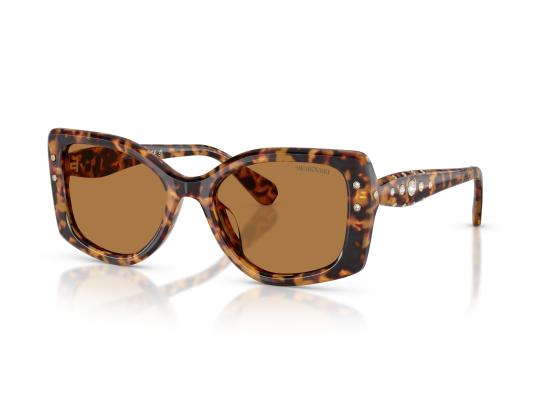 26FW 스와로브스키 선글라스 0SK6058U BROWN - SWAROVSKI