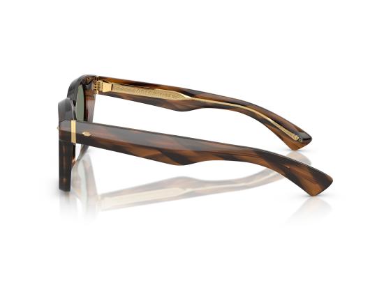 26FW 올리버피플스 선글라스 0OV5498SU BROWN - OLIVER PEOPLES