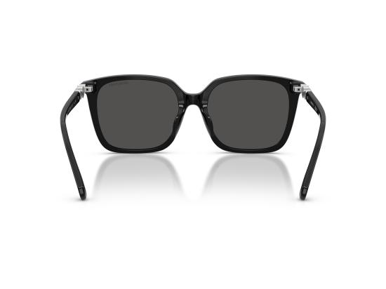 26FW 스와로브스키 선글라스 0SK6053D BLACK - SWAROVSKI