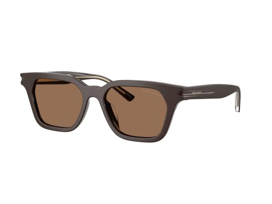 26FW 조르지오 아르마니 선글라스 0AR8251U BROWN