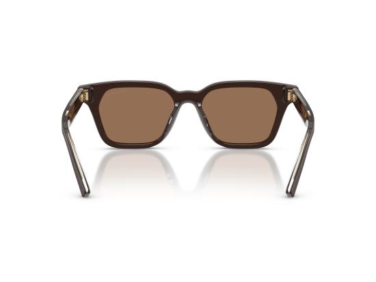 26FW 조르지오 아르마니 선글라스 0AR8251U BROWN - GIORGIO ARMANI