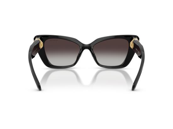 26FW 스와로브스키 선글라스 0SK6047 BLACK - SWAROVSKI