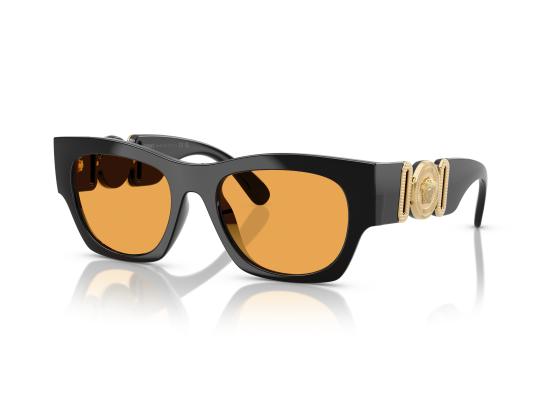 26FW 베르사체 선글라스 0VE4479U BLACK - VERSACE