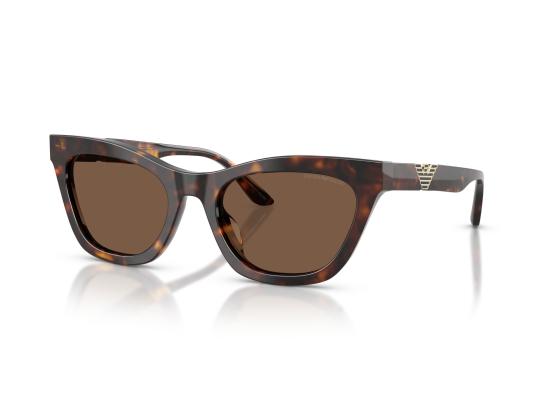 26FW 엠포리오 아르마니 선글라스 0EA4259U BROWN - EMPORIO ARMANI
