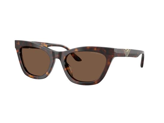 26FW 엠포리오 아르마니 선글라스 0EA4259U BROWN