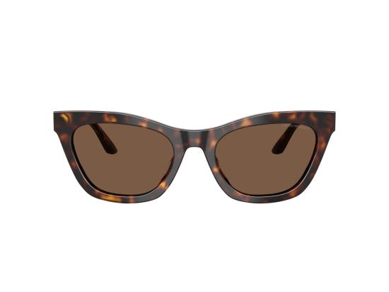 26FW 엠포리오 아르마니 선글라스 0EA4259U BROWN - EMPORIO ARMANI