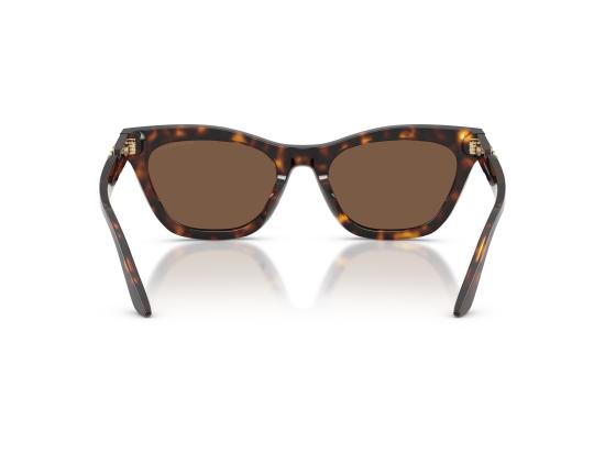 26FW 엠포리오 아르마니 선글라스 0EA4259U BROWN - EMPORIO ARMANI