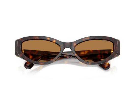 26FW 스와로브스키 선글라스 0SK6045U BROWN - SWAROVSKI