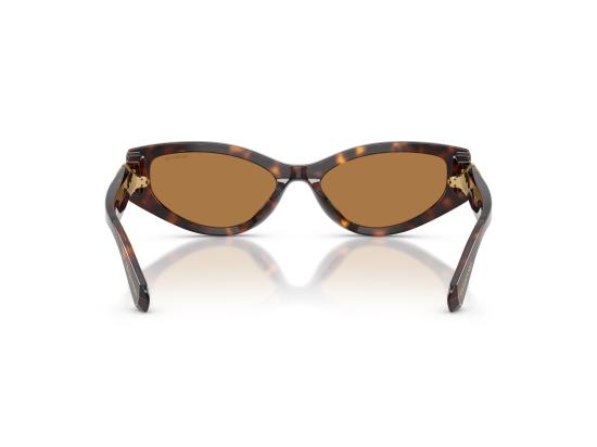 26FW 스와로브스키 선글라스 0SK6045U BROWN - SWAROVSKI