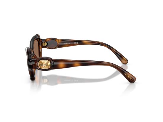 26FW 스와로브스키 선글라스 0SK6050 BROWN - SWAROVSKI