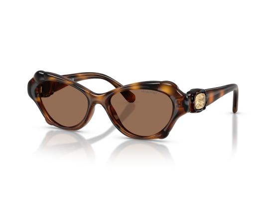 26FW 스와로브스키 선글라스 0SK6050 BROWN - SWAROVSKI