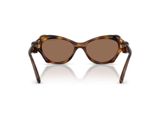26FW 스와로브스키 선글라스 0SK6050 BROWN - SWAROVSKI
