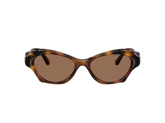 26FW 스와로브스키 선글라스 0SK6050 BROWN - SWAROVSKI