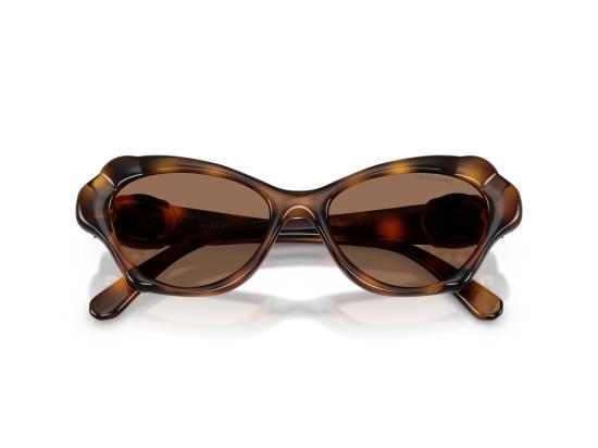 26FW 스와로브스키 선글라스 0SK6050 BROWN - SWAROVSKI