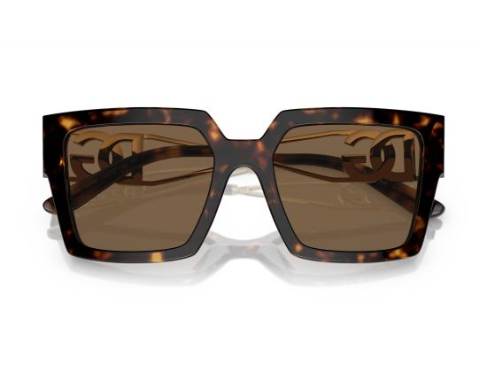 26SS 돌체앤가바나 선글라스 0DG4446B BROWN - DOLCE & GABBANA