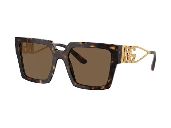 26SS 돌체앤가바나 선글라스 0DG4446B BROWN
