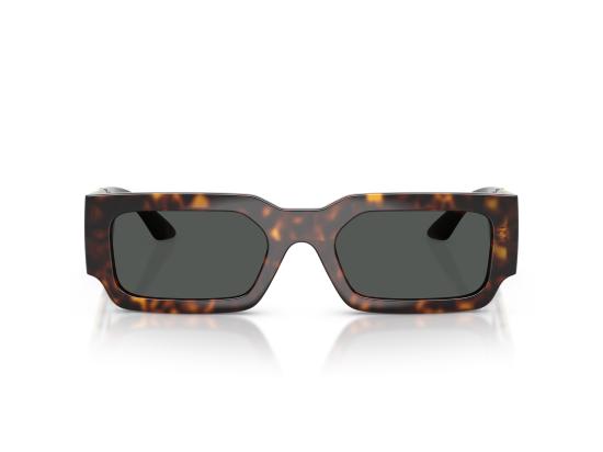 26FW 베르사체 선글라스 0VE4506U BROWN - VERSACE