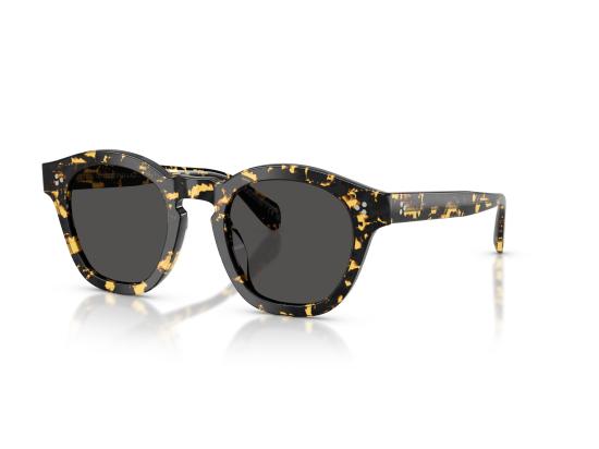 26FW 올리버피플스 선글라스 0OV5382SU BROWN - OLIVER PEOPLES