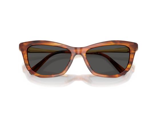 26FW 스와로브스키 선글라스 0SK6057 BROWN - SWAROVSKI