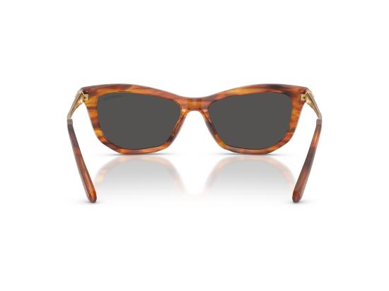 26FW 스와로브스키 선글라스 0SK6057 BROWN - SWAROVSKI