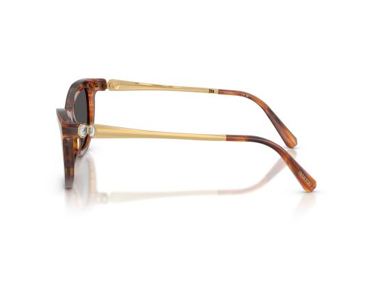 26FW 스와로브스키 선글라스 0SK6057 BROWN - SWAROVSKI