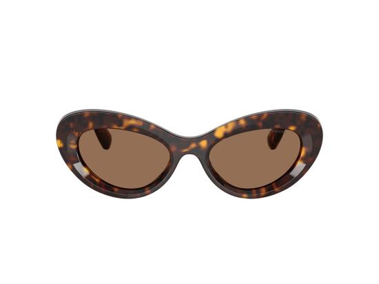 26FW 스와로브스키 선글라스 0SK6061U BROWN - SWAROVSKI