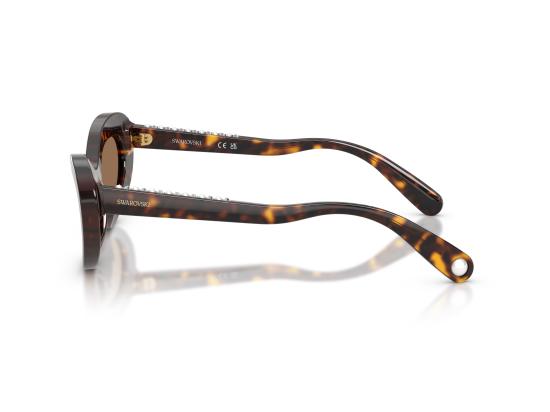 26FW 스와로브스키 선글라스 0SK6061U BROWN - SWAROVSKI