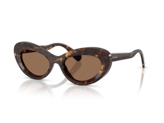 26FW 스와로브스키 선글라스 0SK6061U BROWN - SWAROVSKI