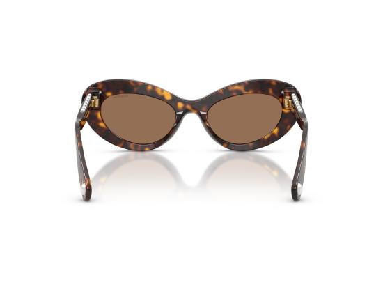 26FW 스와로브스키 선글라스 0SK6061U BROWN - SWAROVSKI