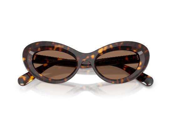 26FW 스와로브스키 선글라스 0SK6061U BROWN - SWAROVSKI