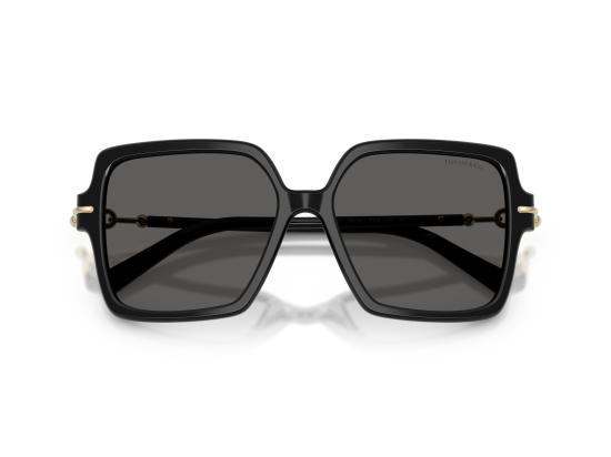 26FW 티파니앤코 선글라스 0TF4260U BLACK - TIFFANY & CO