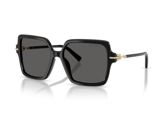 26FW 티파니앤코 선글라스 0TF4260U BLACK - TIFFANY & CO