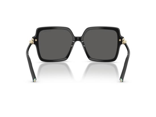 26FW 티파니앤코 선글라스 0TF4260U BLACK - TIFFANY & CO