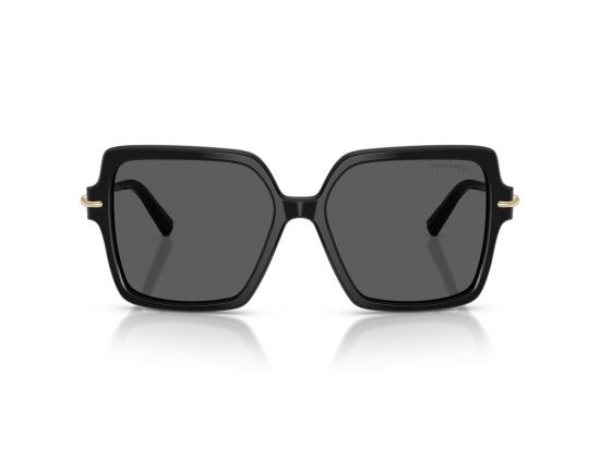 26FW 티파니앤코 선글라스 0TF4260U BLACK - TIFFANY & CO
