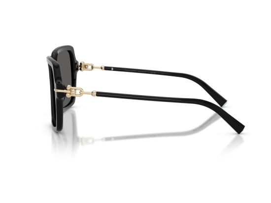 26FW 티파니앤코 선글라스 0TF4260U BLACK - TIFFANY & CO