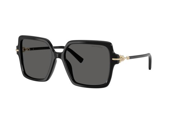 26FW 티파니앤코 선글라스 0TF4260U BLACK