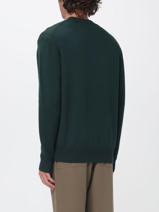 26FW 파올로 페코라 스웨터 A028F009 5588 Green - PAOLO PECORA
