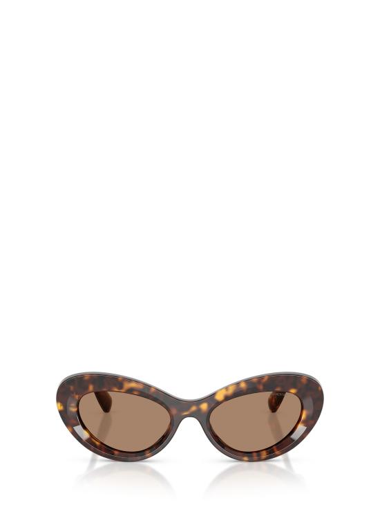 26FW 스와로브스키 선글라스 SK6061U 100273 HAVANA