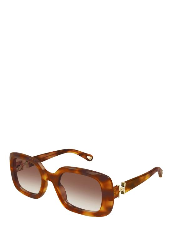 26FW 끌로에 선글라스 CH0333S 003 HAVANA - CHLOE