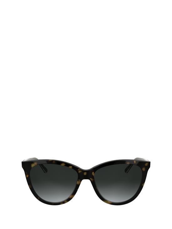 26FW 캘빈클라인 선글라스 CK25508S 240 HAVANA