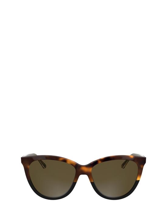 26FW 캘빈클라인 선글라스 CK25508S 233 HAVANA BLACK