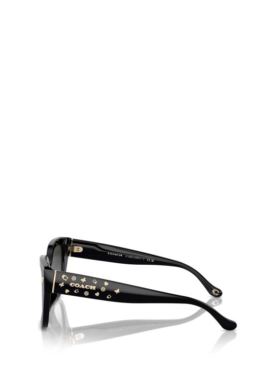 26FW 코치 선글라스 HC8392U 50023C BLACK - COACH