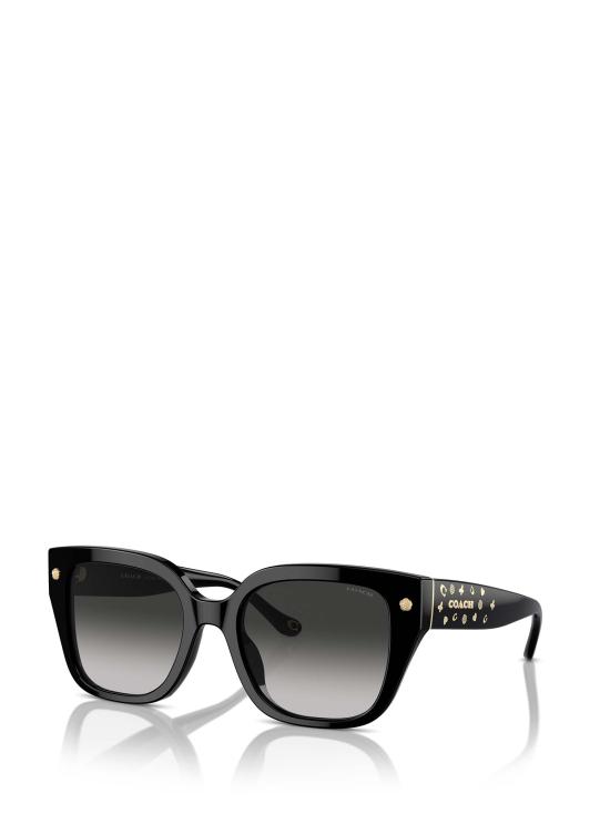 26FW 코치 선글라스 HC8392U 50023C BLACK - COACH