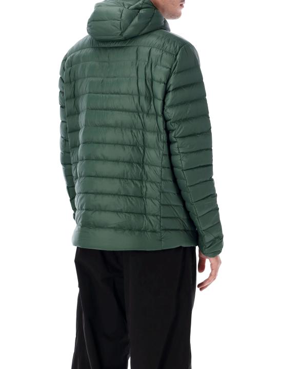26FW 파타고니아 다운 스웨터 후디 84702 TLGR T GREEN - PATAGONIA