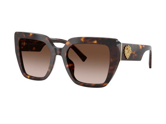 26FW 돌체앤가바나 선글라스 0DG4538 BROWN