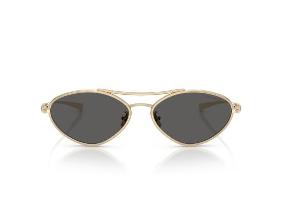 26FW 티파니앤코 선글라스 0TF3117 GOLD - TIFFANY & CO