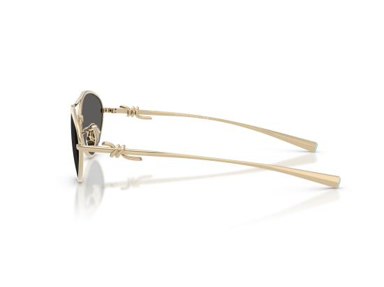 26FW 티파니앤코 선글라스 0TF3117 GOLD - TIFFANY & CO