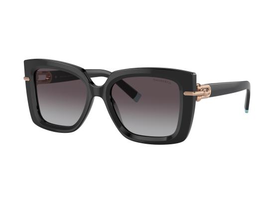 26FW 티파니앤코 선글라스 0TF4199 BLACK