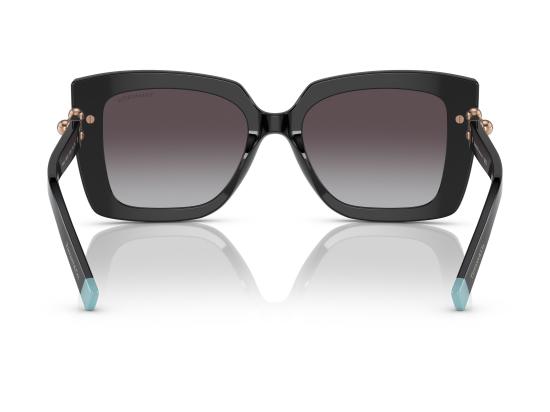 26FW 티파니앤코 선글라스 0TF4199 BLACK - TIFFANY & CO